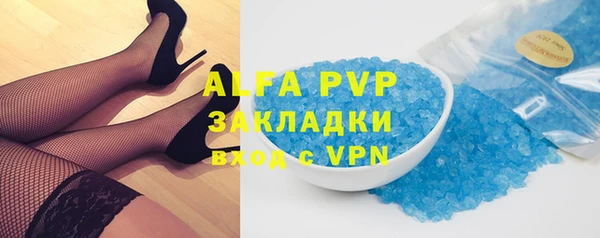 ПСИЛОЦИБИНОВЫЕ ГРИБЫ Верея
