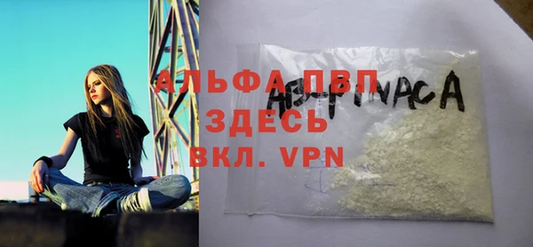 ПСИЛОЦИБИНОВЫЕ ГРИБЫ Верея