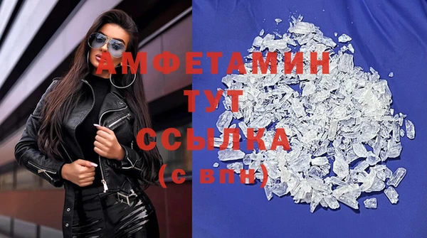 гидра Верхний Тагил
