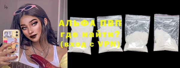 ПСИЛОЦИБИНОВЫЕ ГРИБЫ Верея