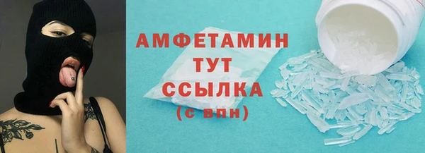 гидра Верхний Тагил