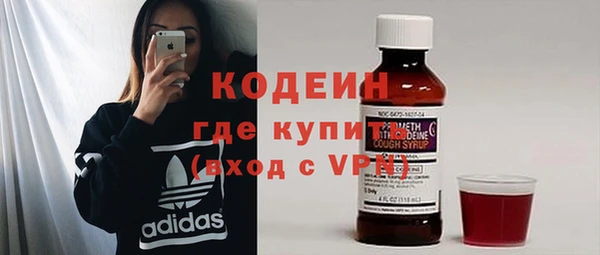 ПСИЛОЦИБИНОВЫЕ ГРИБЫ Верея