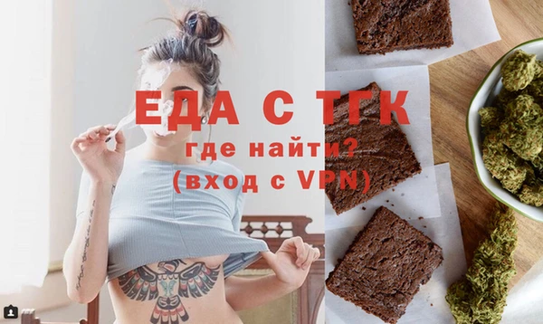 гидра Верхний Тагил