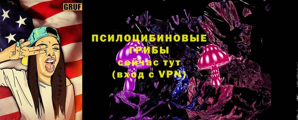 ПСИЛОЦИБИНОВЫЕ ГРИБЫ Верея