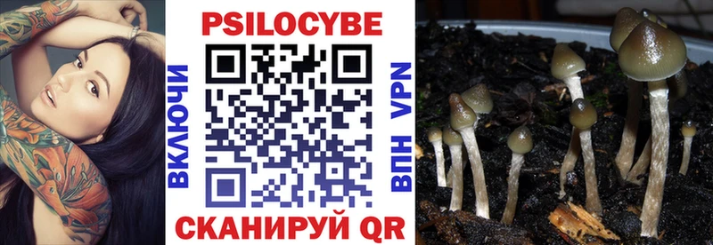 Галлюциногенные грибы MAGIC MUSHROOMS  Минеральные Воды 